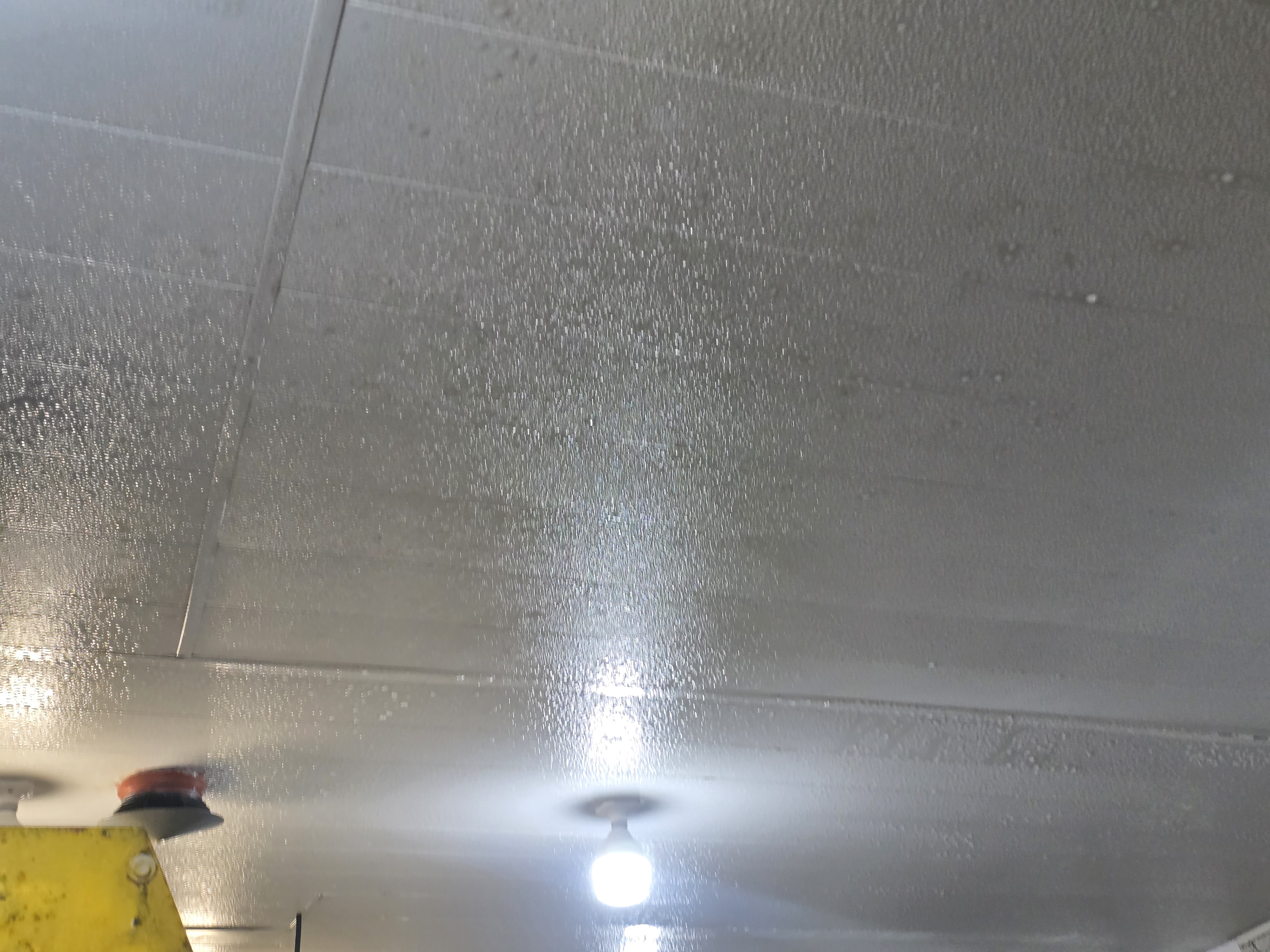 20260320_141512 (1)_1776071877.jpg